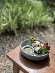 Fresh spring rolls with green dipping sauce on a garden table at Cafe Arte in Jed Yod