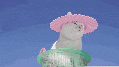 White cat in a frilly pink sun hat basking against a bright blue sky