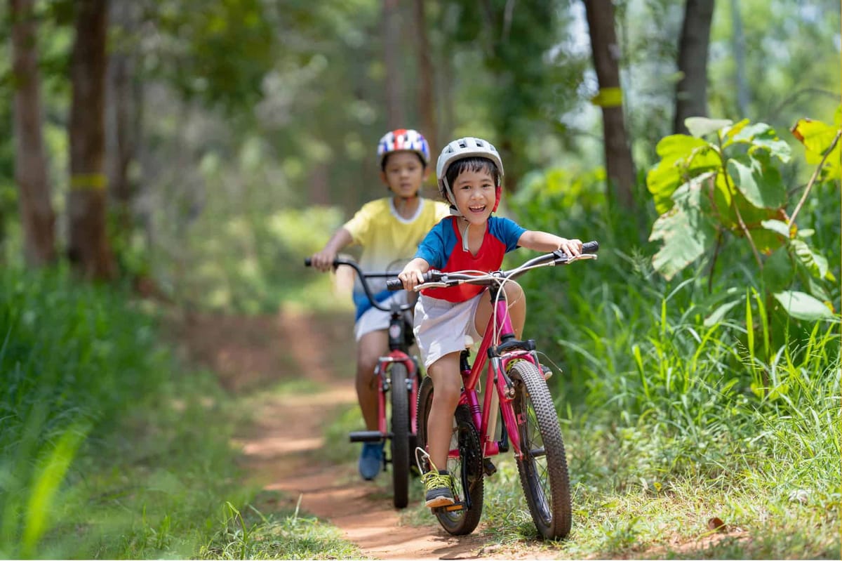 Two helmeted children riding bikes along a shady dirt forest trail