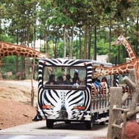Chiang Mai Night Safari