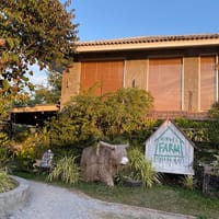 Ginger Farm