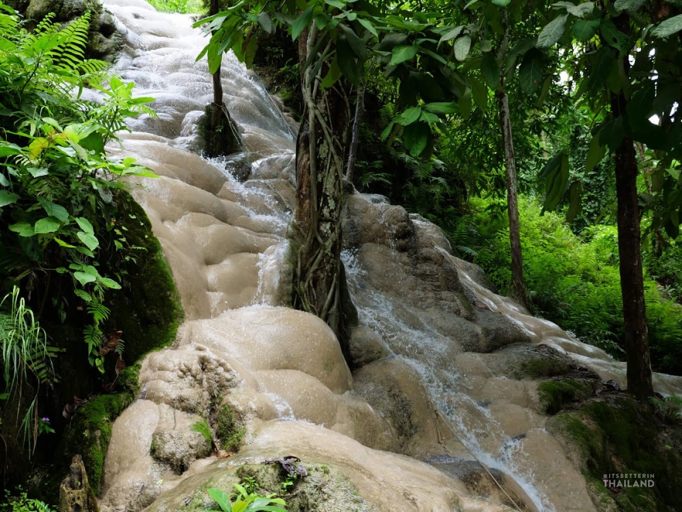 Bua Tong Sticky Waterfall