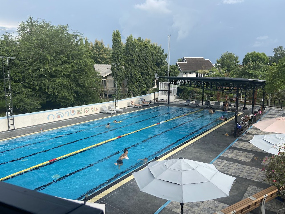 Swimmers doing laps in Looper's outdoor pool with lane ropes, poolside loungers and umbrellas seen from above