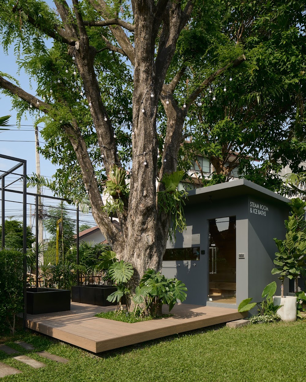 A grey 'Steam Room & Ice Baths' cabin on a wood deck under a large tree strung with lights at OUR space